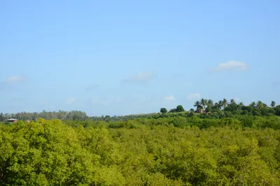 DSC_8264 (Large).JPG